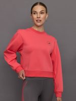 aSMC Reg Sweatshirt - Corpnk