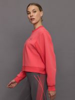 aSMC Reg Sweatshirt - Corpnk - Image 4