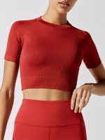 Barre Seamless Tee - Ruby - Image 5