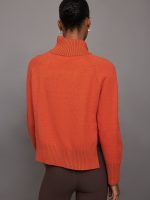 Raglan Zip Pullover - Orange - Image 4