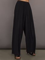 Model wears a pair of mid rise black pleated wide leg dress pants.